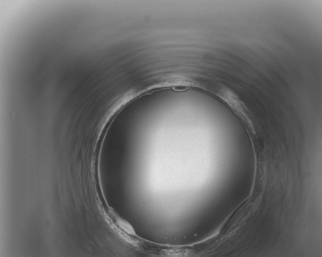 X0000080150805200612151829