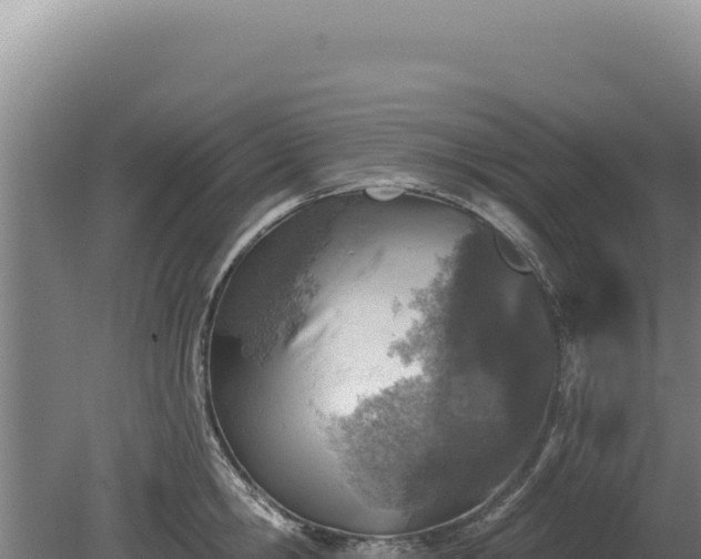 X0000080150806200612151829