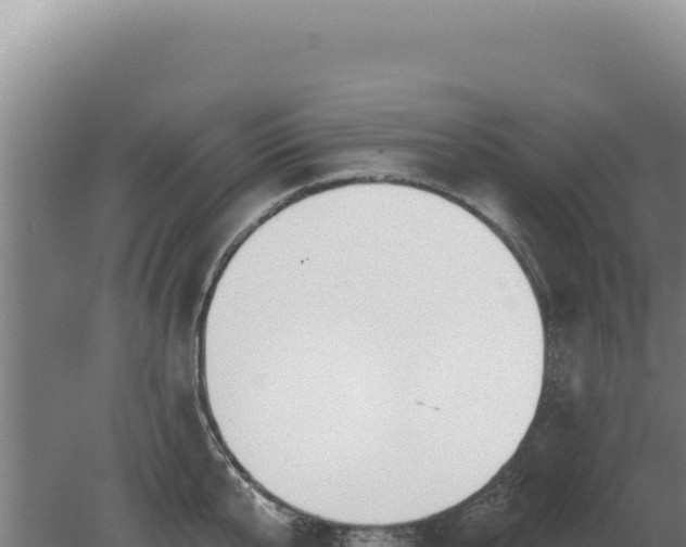 X0000080150807200612151829