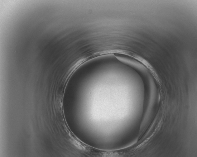 X0000080150809200612151828