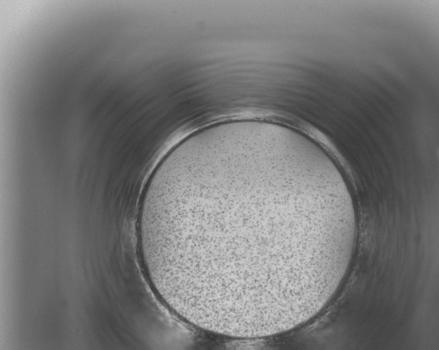 X0000080150810200612151828