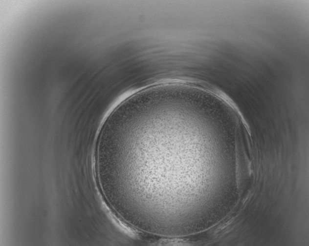 X0000080150811200612151828