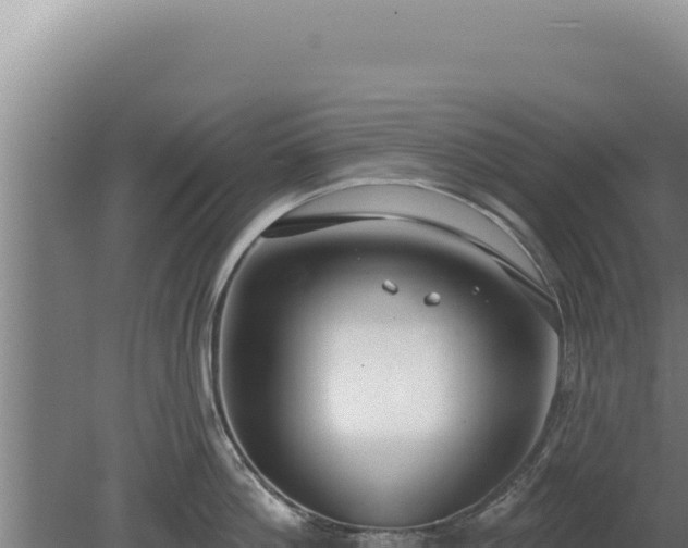 X0000080150812200612151828