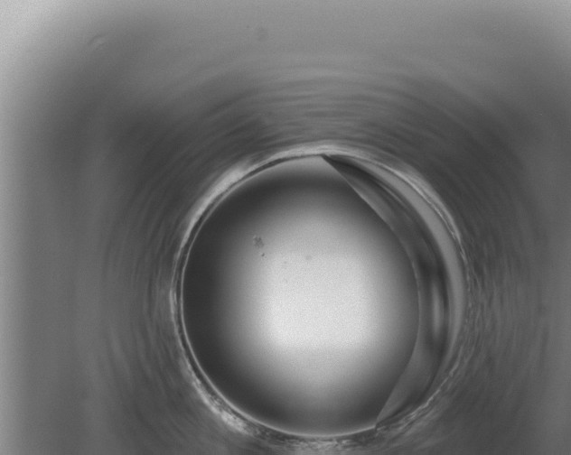 X0000080150813200612151828