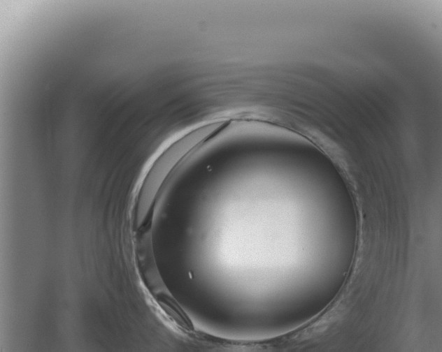 X0000080150816200612151828