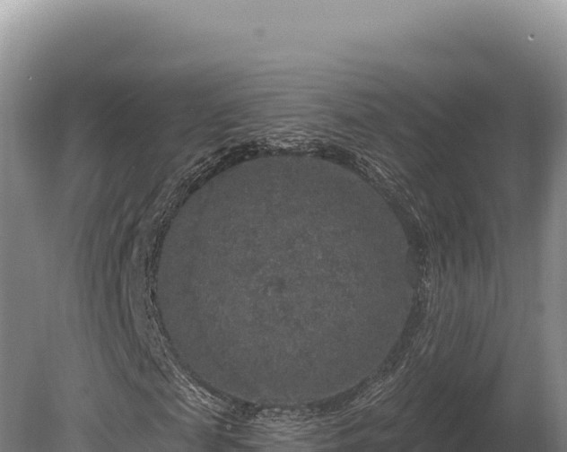 X0000080150817200612151828