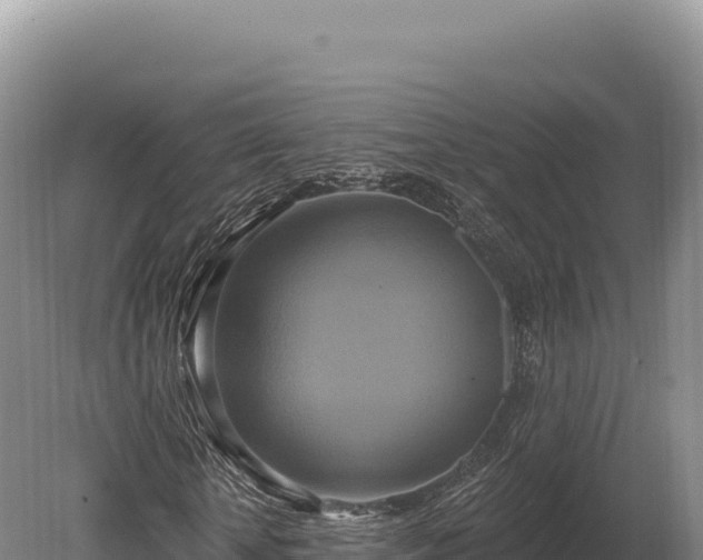 X0000080150818200612151828