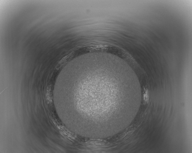 X0000080150819200612151828