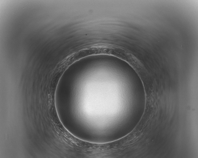 X0000080150821200612151828