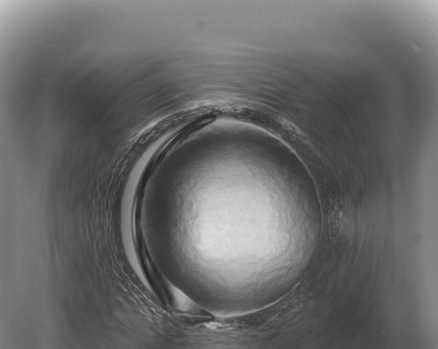 X0000080150822200612151828