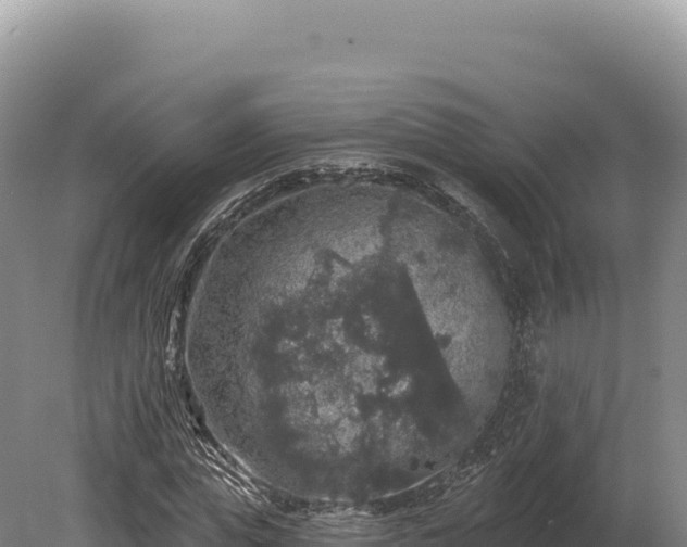 X0000080150823200612151828