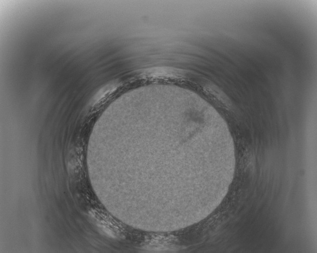 X0000080150824200612151828