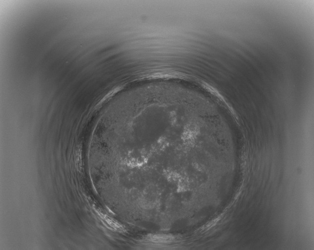 X0000080150825200612151828