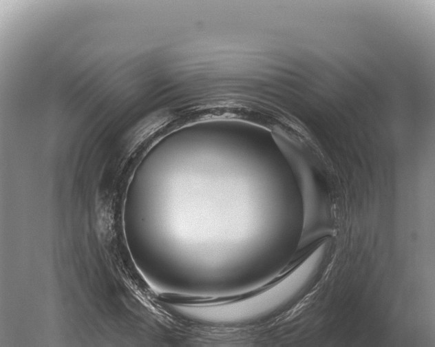 X0000080150826200612151828