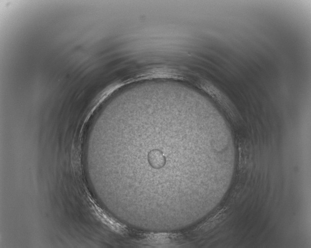 X0000080150828200612151828