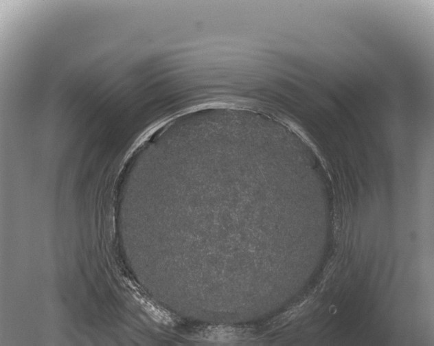 X0000080150829200612151828