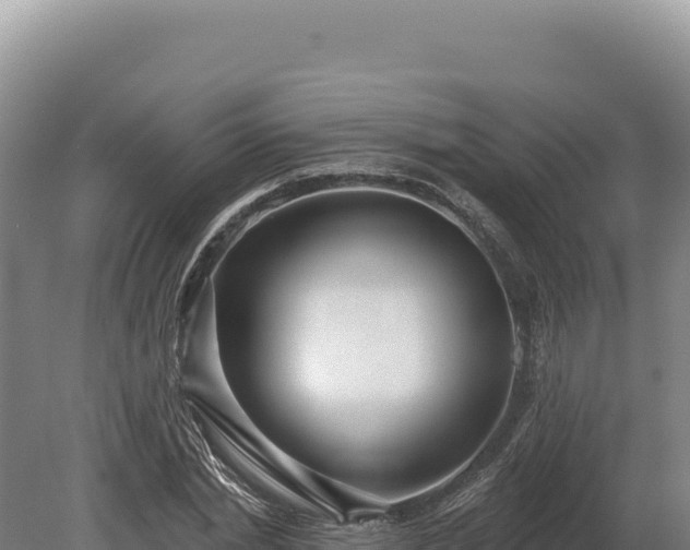 X0000080150830200612151828