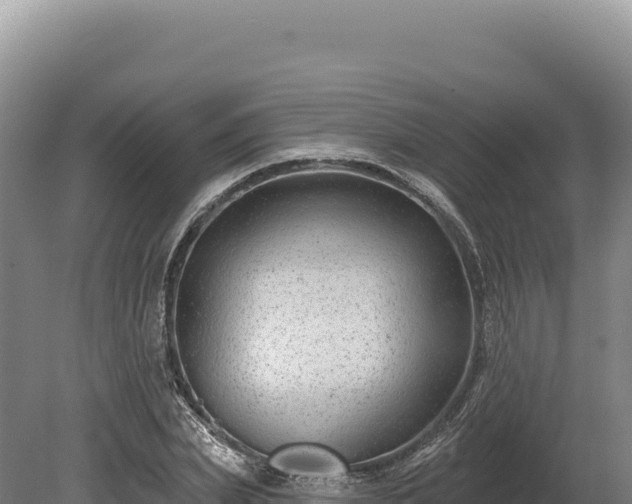 X0000080150831200612151828