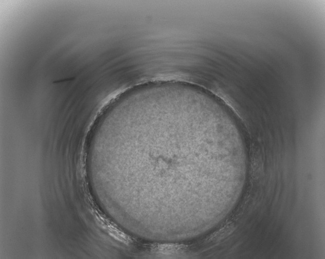 X0000080150832200612151828