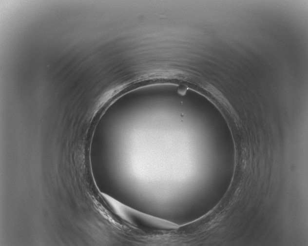 X0000080150834200612151828