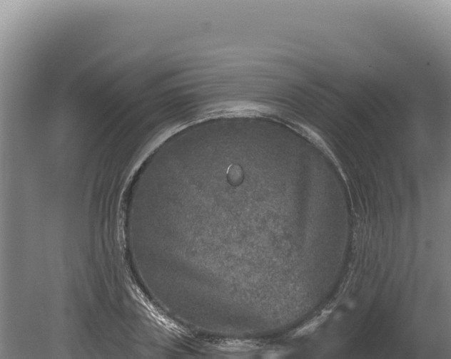 X0000080150835200612151828