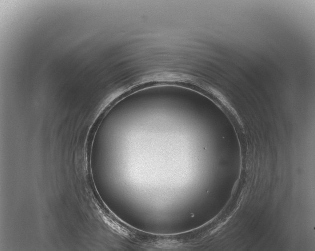 X0000080150837200612151828