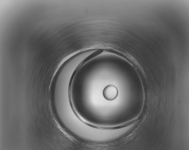 X0000080150838200612151828