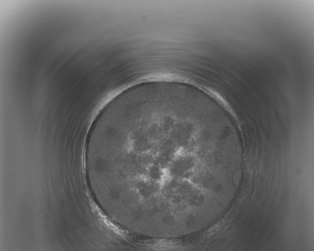 X0000080150839200612151828