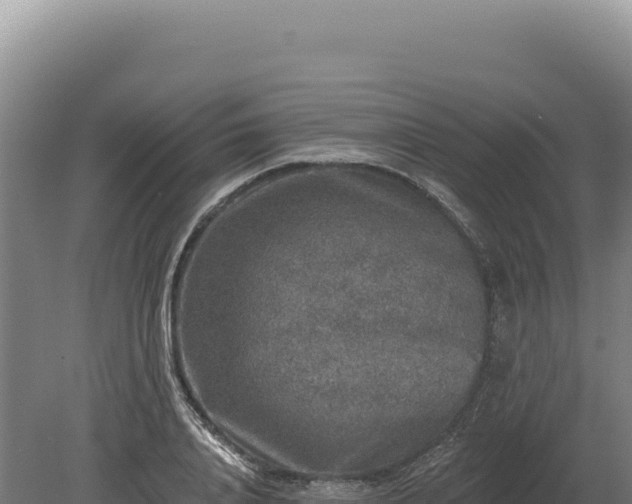 X0000080150840200612151828