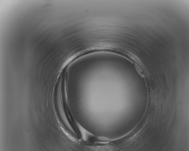 X0000080150842200612151828