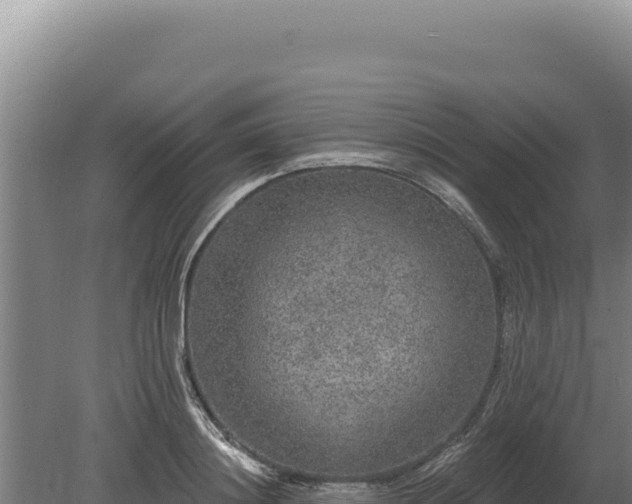 X0000080150844200612151828