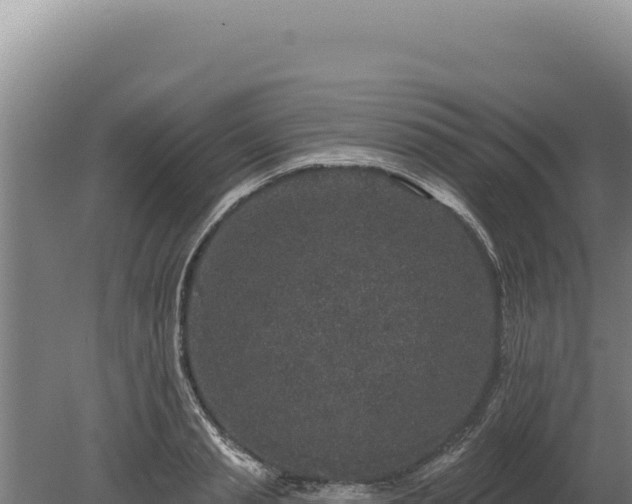 X0000080150845200612151828