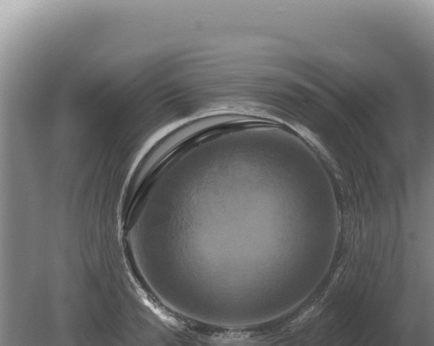 X0000080150846200612151828