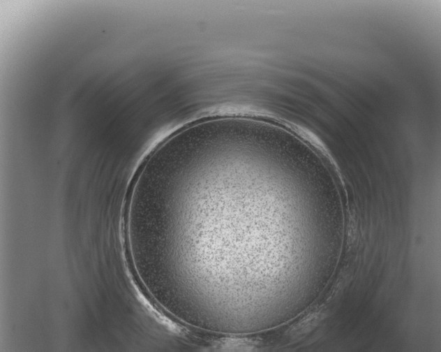 X0000080150847200612151828