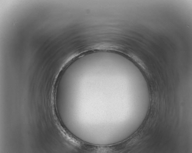 X0000080150848200612151828