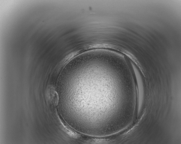 X0000080150849200612151828