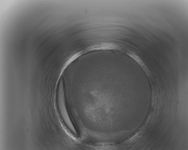 X0000080150850200612151828