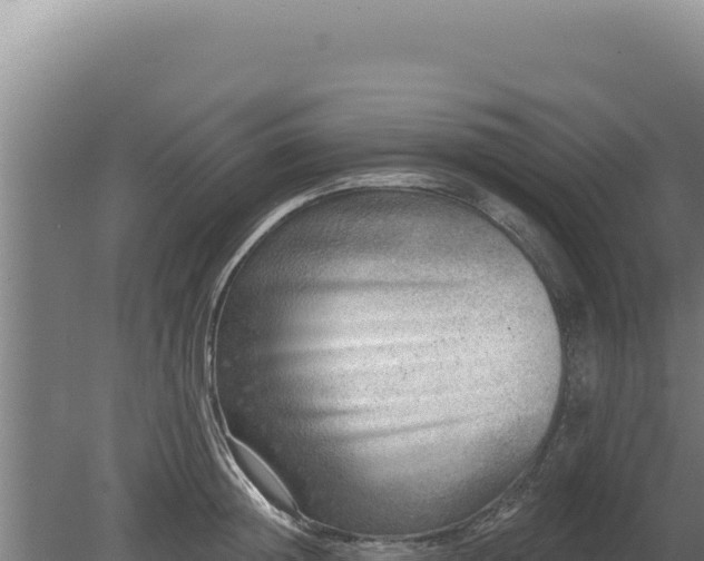 X0000080150852200612151828