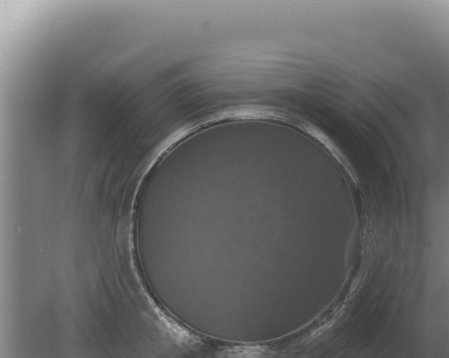 X0000080150853200612151828