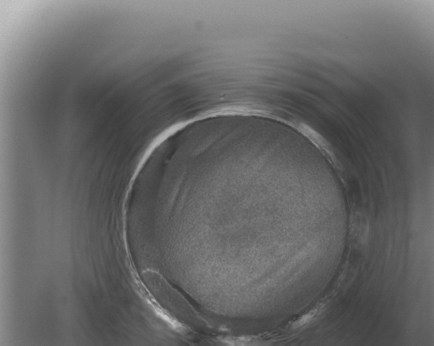 X0000080150854200612151828