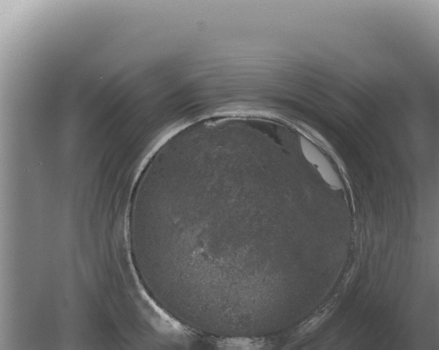 X0000080150855200612151828