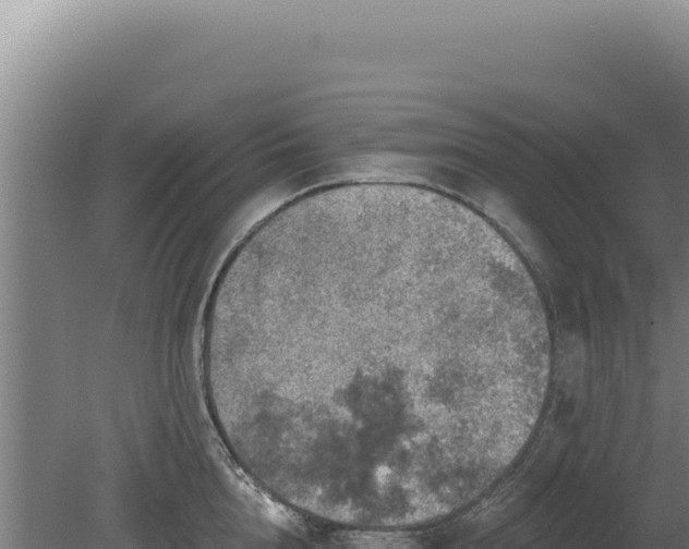 X0000080150856200612151828