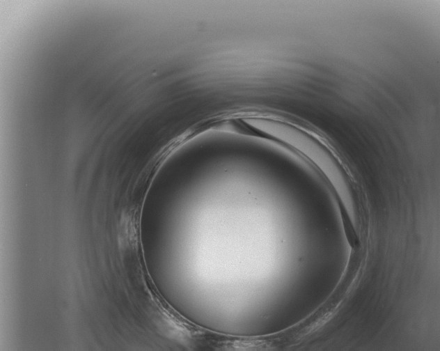 X0000080150857200612151828