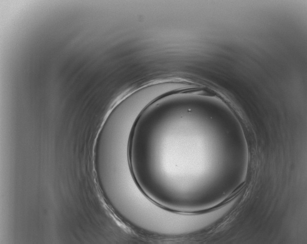 X0000080150858200612151828