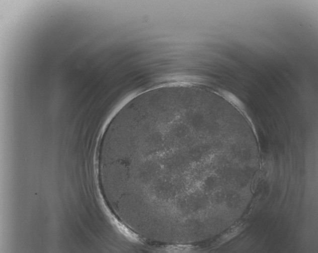 X0000080150859200612151828