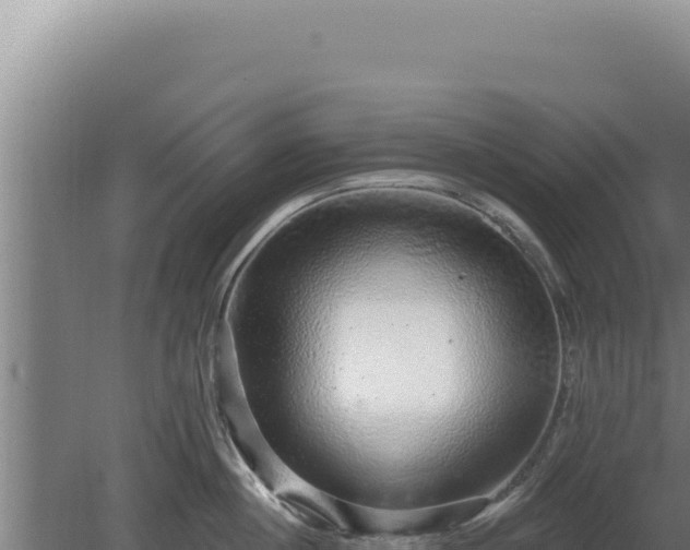 X0000080150860200612151828