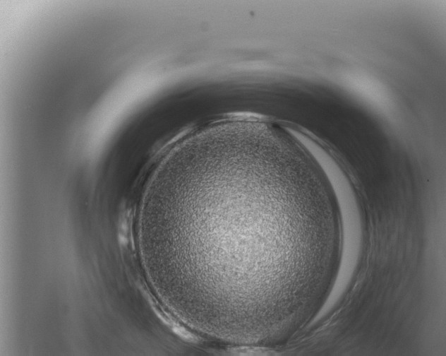 X0000080150862200612151828