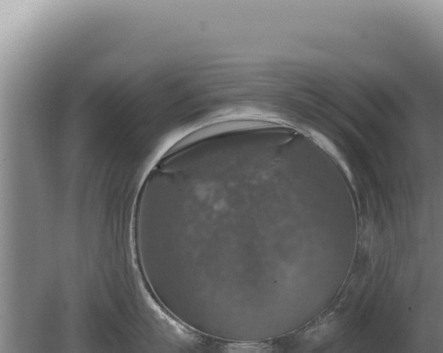 X0000080150863200612151828