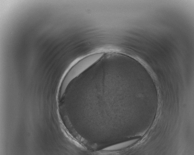 X0000080150864200612151828