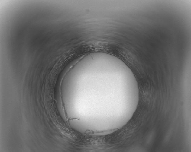 X0000080150865200612151828